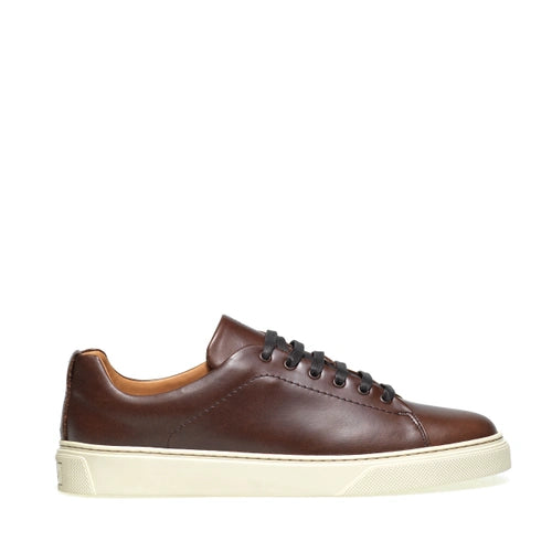 Fila Marrone Polyurethane Women Sneaker