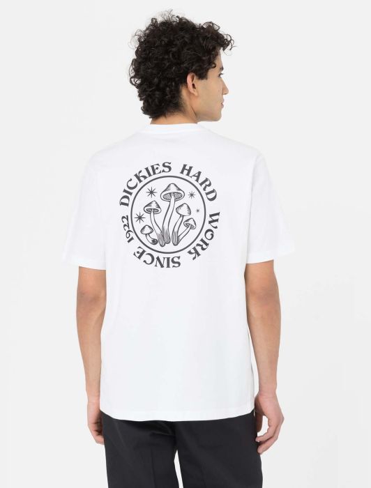 T-Shirt Bayside a Mezze Maniche / Bianco - Ideal Moda