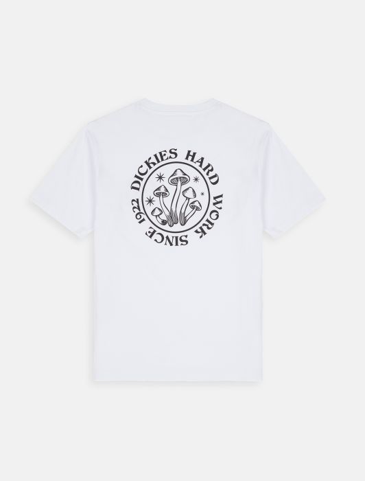 T-Shirt Bayside a Mezze Maniche / Bianco - Ideal Moda
