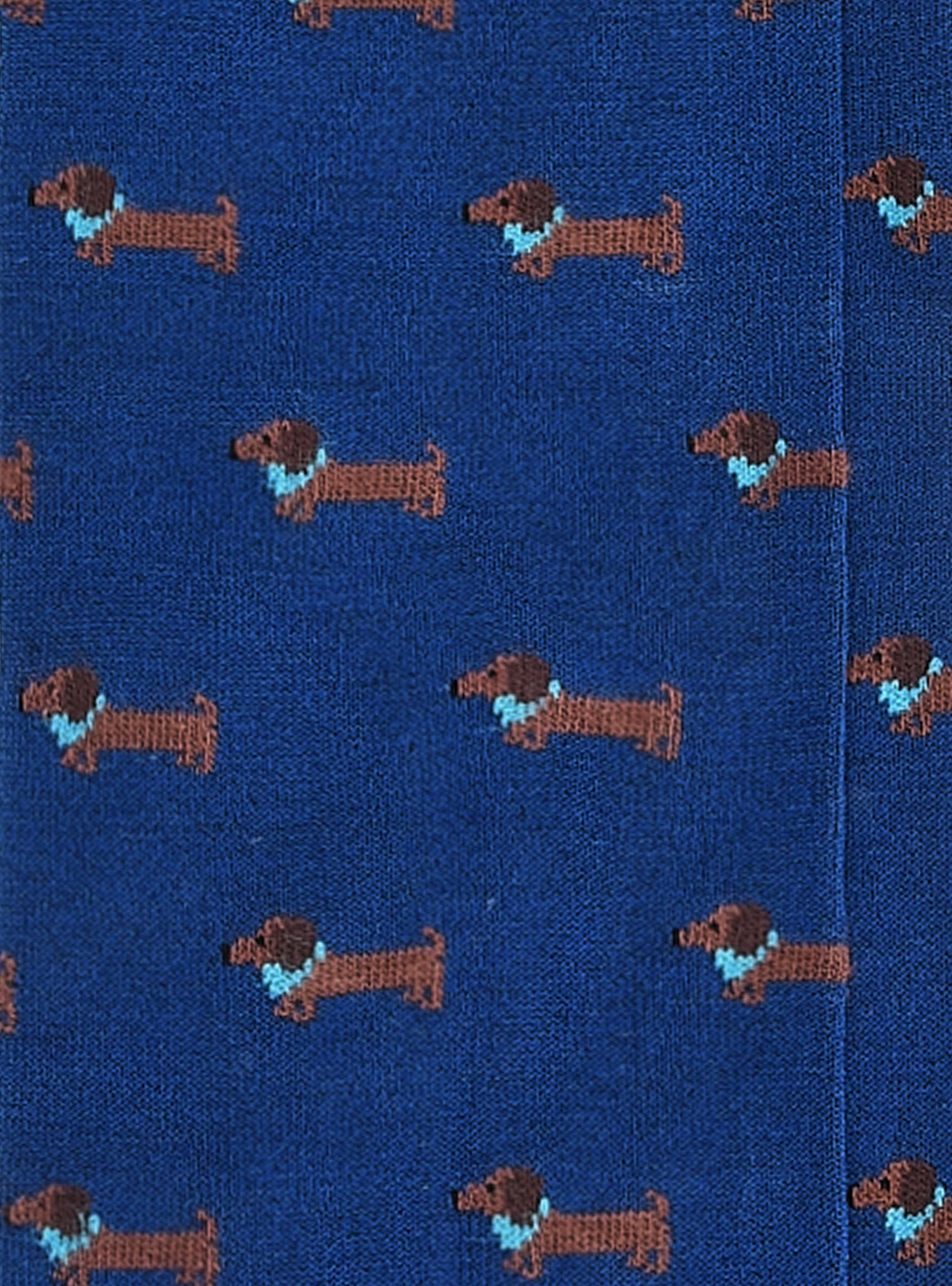 Calzino in Cotone con Fantasia / Bluette - Ideal Moda
