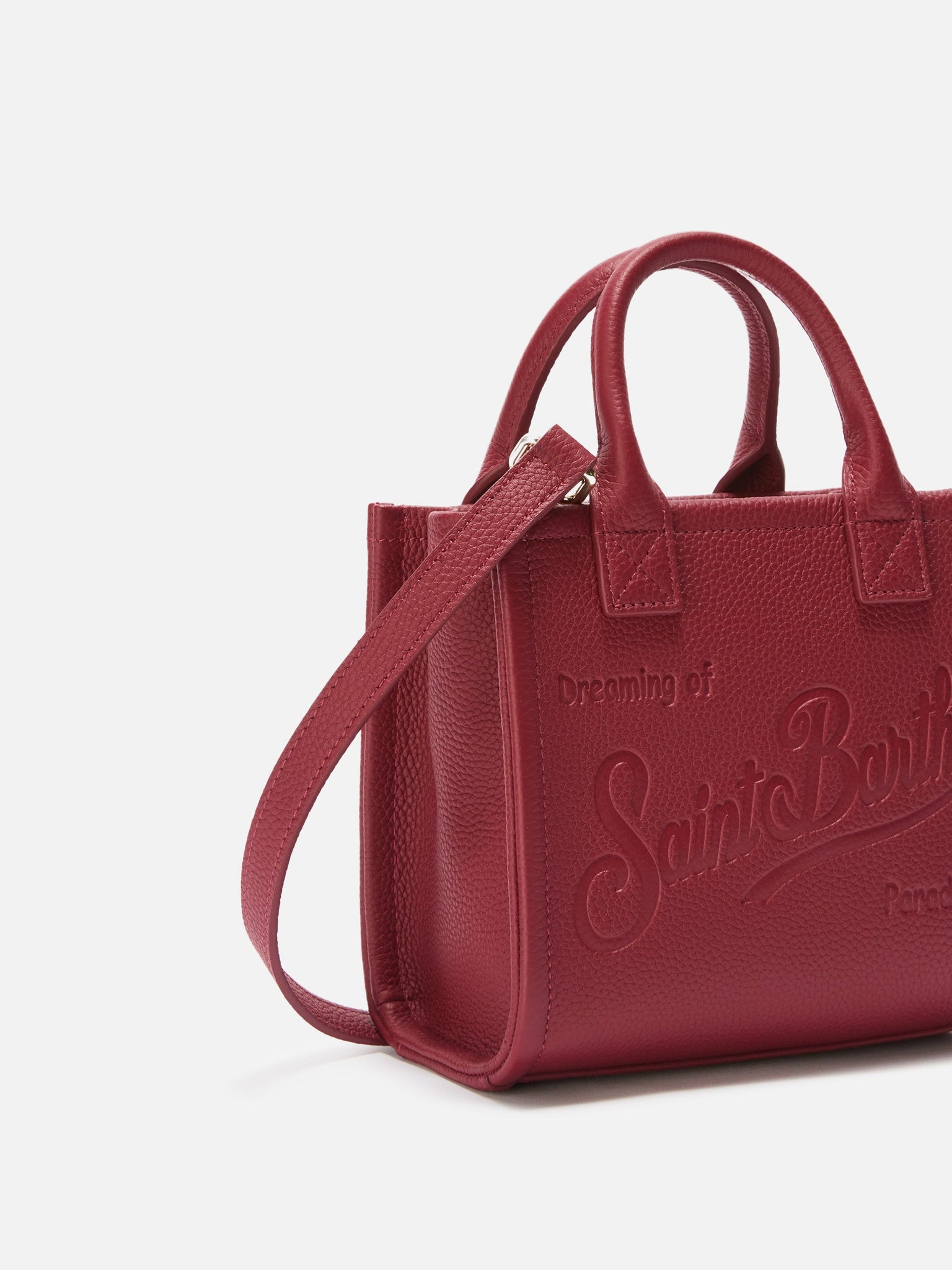 Borsa a Spalla Vanity Mini in Pelle / Bordeaux