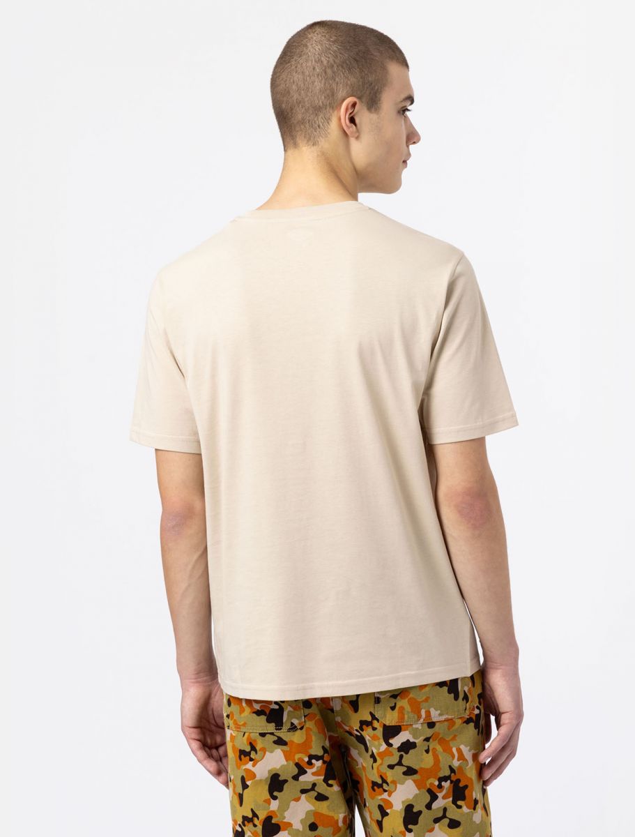 T-Shirt Dickies Mapleton / Beige - Ideal Moda