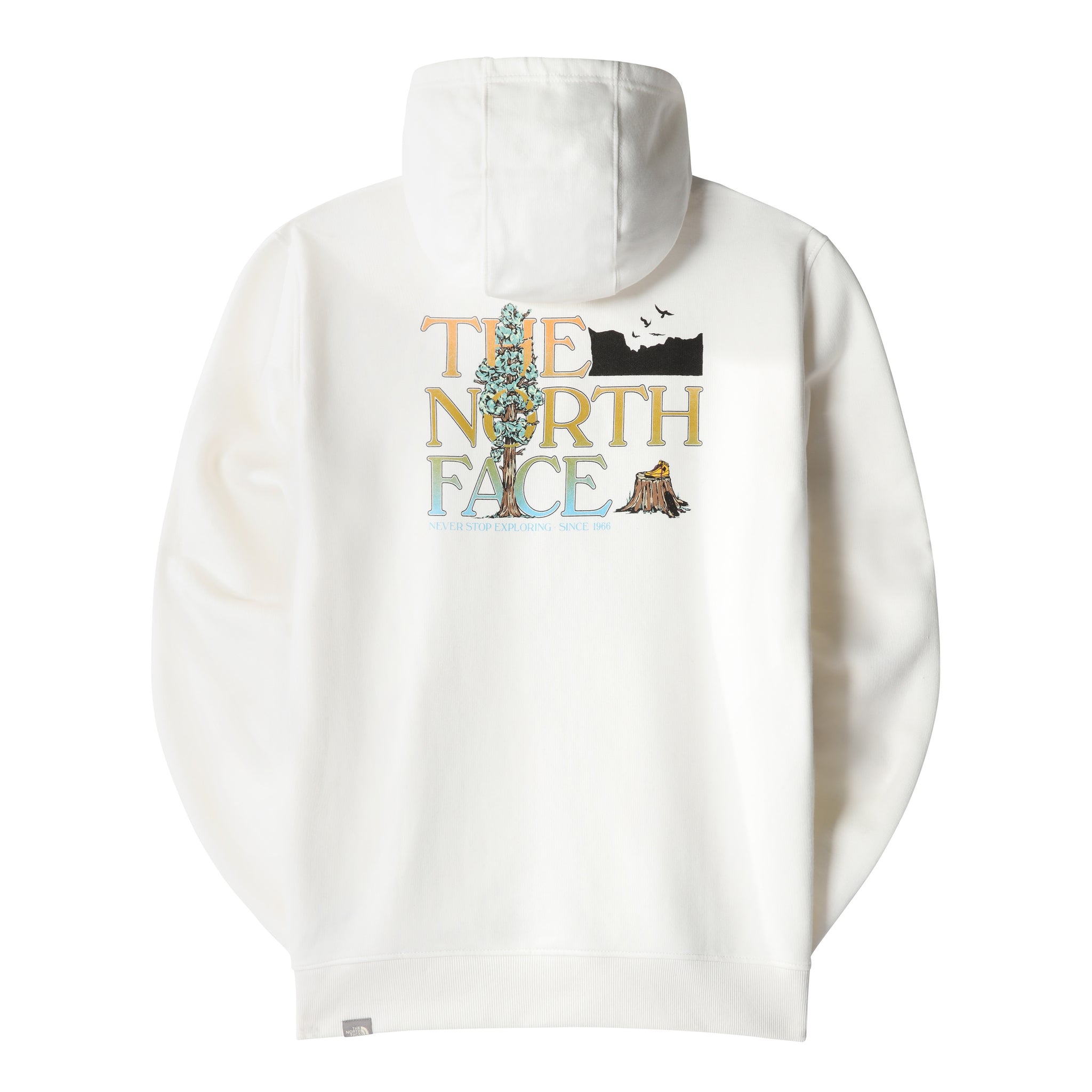 Felpa da Uomo con Cappuccio The North Face / Bianco - Ideal Moda