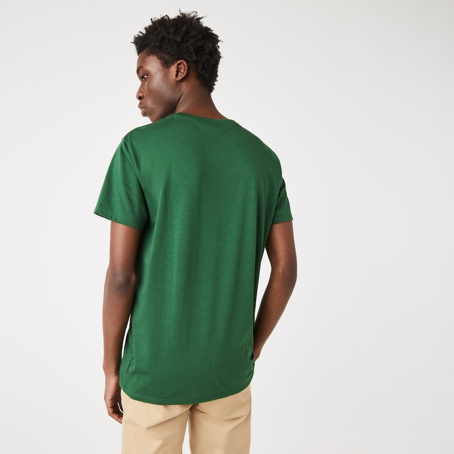 T-Shirt in Jersey di Cotone Pima Lacoste / Verde - Ideal Moda