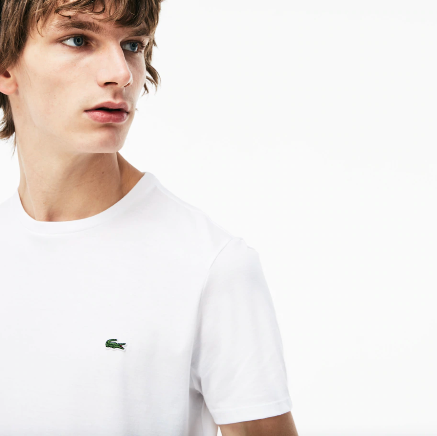 T-shirt a girocollo in jersey di cotone Pima tinta unita / Bianco - Ideal Moda