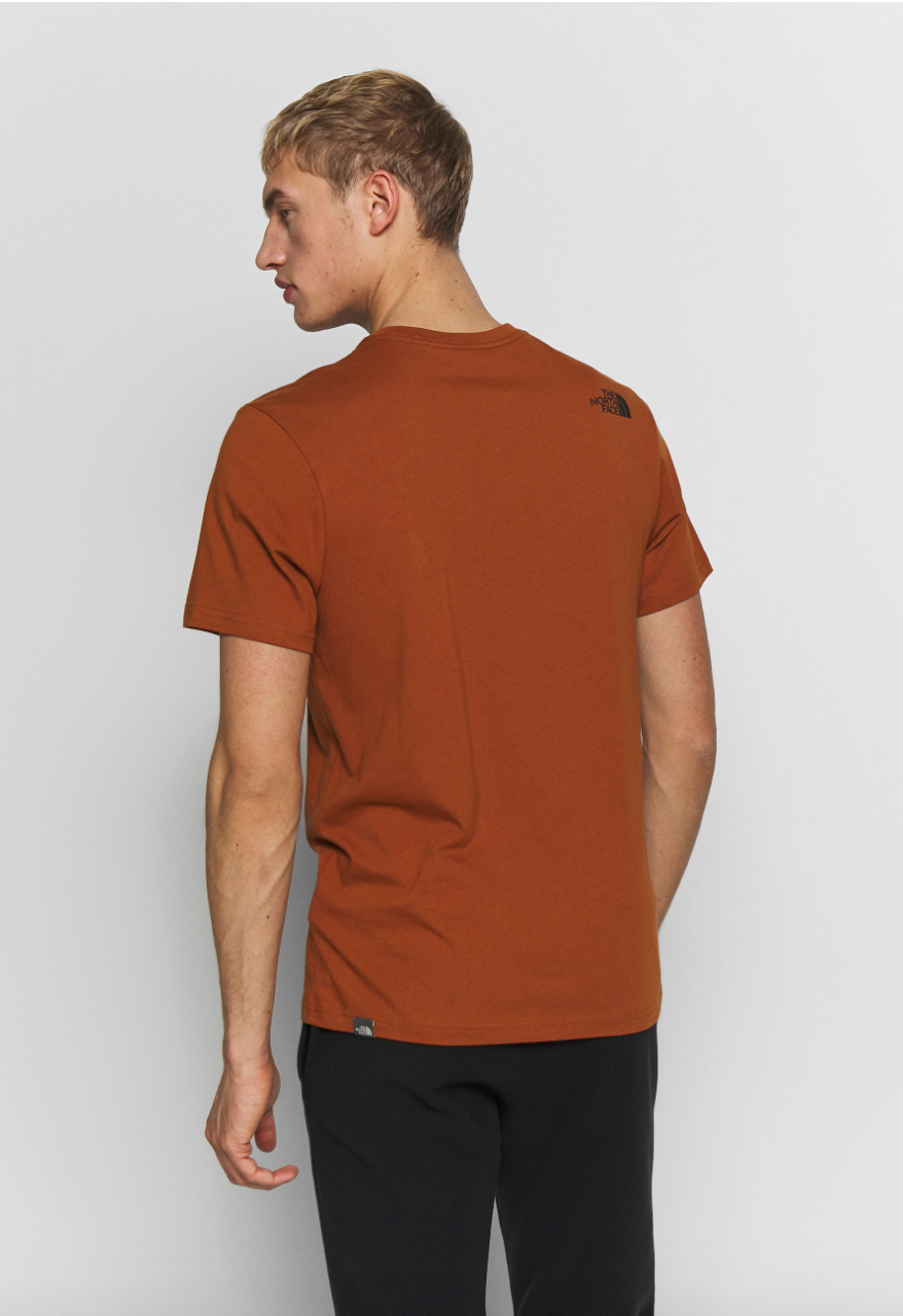 T-Shirt uomo Woodcut Dome / Marrone - Ideal Moda