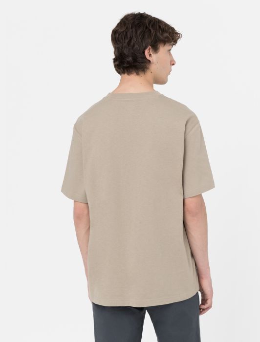 T-Shirt con Logo Frontale Dickies / Beige - Ideal Moda