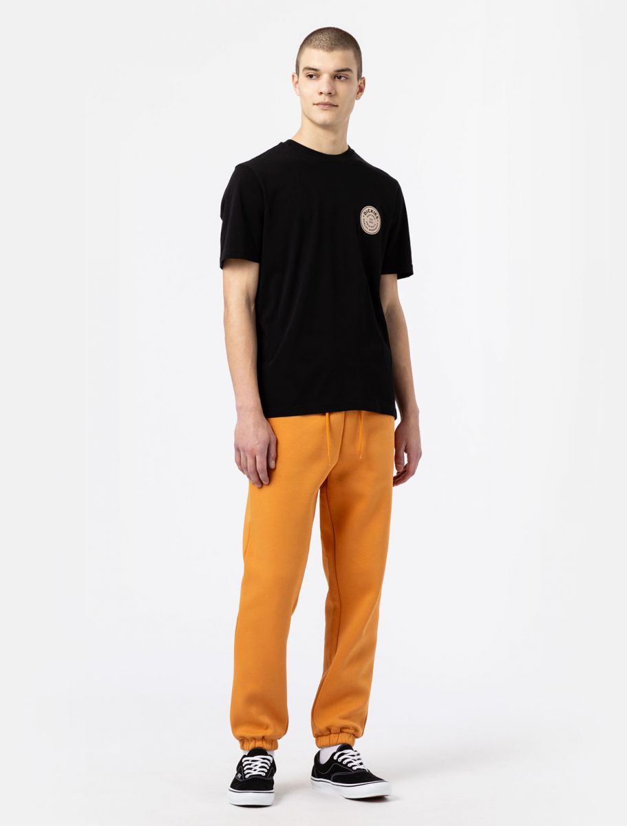 T-Shirt Dickies con Stampa / Nero - Ideal Moda
